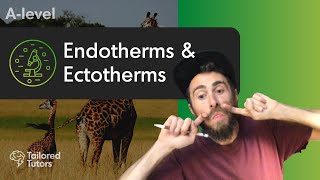 Endotherms amp Ectotherms  A Level Biology  OCR [upl. by Issirk269]