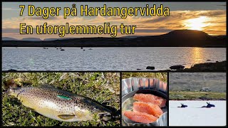 Hardangervidda  Fisketur  Sant [upl. by Ynottirb]