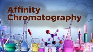 Affinity Chromatography  Protein Separation [upl. by Aninaig]