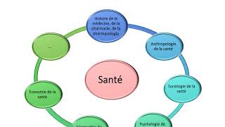 Introduction aux sciences humaines et sociales [upl. by Lianne]