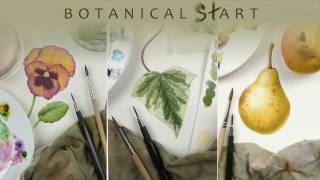 Watercolour techniques used for botanical art [upl. by Phox]