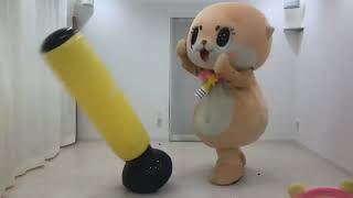 Chiitan☆ Funniest Moments ●´ω｀●【HD】 [upl. by Eisler]