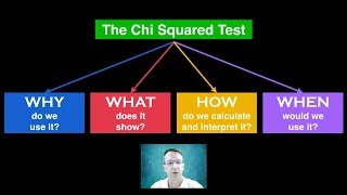 Chi Squared Test [upl. by Yellehs]