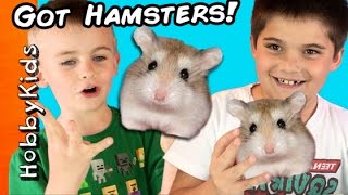 HobbyKids Buy Hamsters Petco Toy Shopping Haul HobbyKidsTV [upl. by Eirrej]