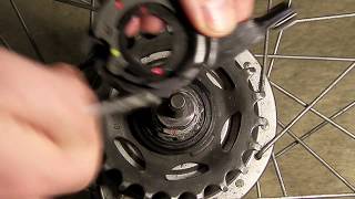 Shimano Nexus Alfine 78 Gear cassette Installing and adjusting [upl. by Yniattirb435]