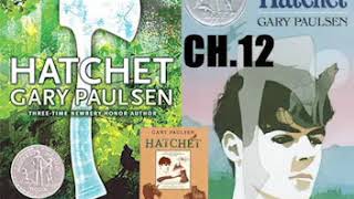 Hatchet  Audiobook Chapter 12 [upl. by Eseela]