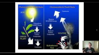 Types of Autotrophs [upl. by Schear682]