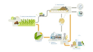 Sugar cane  A source of renewable energy [upl. by Magena]