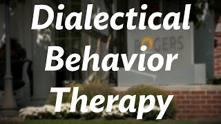 Rogers therapist gives an overview of Dialectical Behavior Therapy DBT [upl. by Ahsiea]