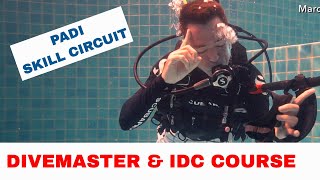 PADI Divemaster Skills Circuit and IDC Skills Circuit  Get the Best Scores [upl. by Burkitt]