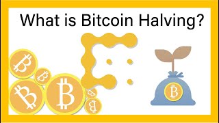 What is the Bitcoin Halving  CoinDesk Explains [upl. by Sjoberg328]