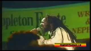 Dennis Brown  The Legend Continue [upl. by Aurie]