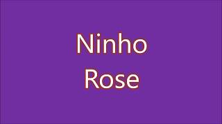 Ninho  Rose Lyrics Paroles [upl. by Ahaelam958]