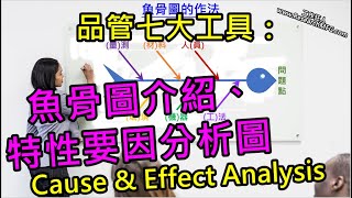 品管七大工具：魚骨圖介紹、特性要因分析圖Cause and Effect Analysis [upl. by Graniela]