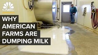 Why American Farmers Are Dumping Milk [upl. by Osner]