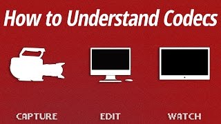 How to Understand Codecs [upl. by Aisirtap]