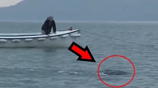 10 Unidentified Sea Monsters Caught On Film [upl. by Uta]