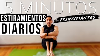 Rutina de ESTIRAMIENTOS para PRINCIPIANTES  5 Minutos al Día [upl. by Valonia]