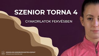 Szenior torna 4 [upl. by Ecirahc]