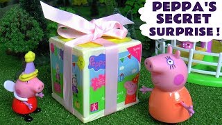 Peppa plays with her Secret Surprise [upl. by Ankney]