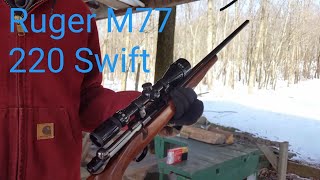 Ruger M77 220 swift [upl. by Aeslek746]