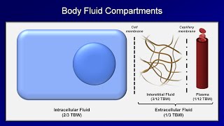 IV Fluids Lesson 1  Basic Principles [upl. by Ber]