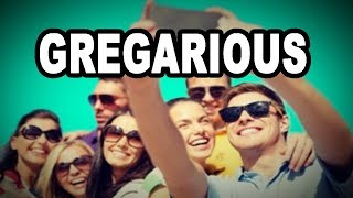 Learn English Words GREGARIOUS  Meaning Vocabulary with Pictures and Examples [upl. by Oiramel]