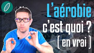 L’aérobie cest quoi  4 ou 5 choses que vous allez apprendre sur lentraînement [upl. by Nangem29]