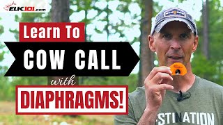 How to Cow Call with Diaphragm Elk Calls [upl. by Niret]