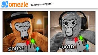 OMEGLE Trolling in Gorilla Tag [upl. by Atikam]