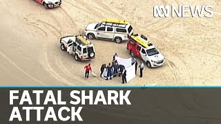 Surfer killed by Great White Shark northern NSW  ABC News [upl. by Eimia]