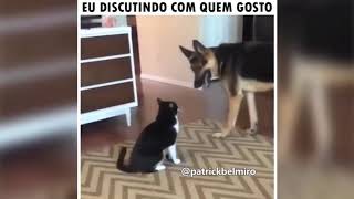 MELHORES MEMES DE ANIMAIS FALANTES ENGRAÃ‡ADOS BELMIRO MEMESCOMPILADO COM MEMES DE ANIMAIS FALANTES [upl. by Ecadnak]