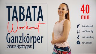 Tabata Workout ohne Springen  effiziente Übungen zur Ganzkörperkräftigung  Katja Seifried [upl. by Hubing878]