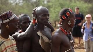 Bull Jumping Ritual  Hamar Tribe Ethiopia [upl. by Ymaral]