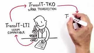 The Simplicity of Transfection [upl. by Eelirol]