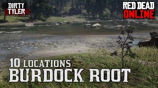 Burdock Root Locations Red Dead Online Burdock Root Location RDR2 [upl. by Namron947]