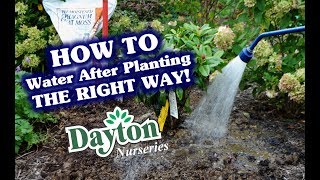 How to Water After Planting  The RIGHT Way [upl. by Turpin]