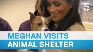 Meghan Markle called fat lady as she visits Mayhew animal shelter  5 News [upl. by Eivi]