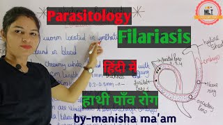 Filariasis हाथीपाँव  wuchereria bancrofti  Microfilaria  Mlt Lecture  Parasitology [upl. by Taro]