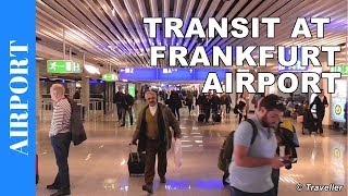 TRANSIT WALK AT FRANKFURT Airport FRA Terminal 1  Connection Flight Transfer Arriving amp Departing [upl. by Eihctir636]