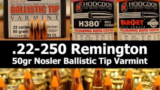 22250 Rem  50gr Nosler BT with Varget amp H380 [upl. by Nedaj]