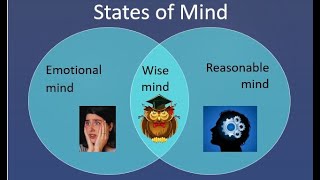 DBT  Mindfulness  3 States of Mind [upl. by Vernita918]