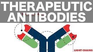 Therapeutic Monoclonal Antibodies [upl. by Kolnick]