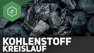 Kohlenstoffkreislauf – Stoffkreisläufe 3 [upl. by Blim630]