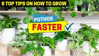 8 Top Tips on How to Grow Pothos Faster [upl. by Annovy441]