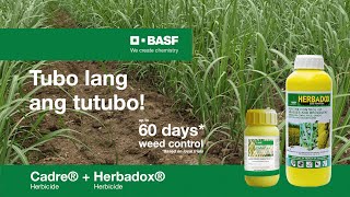 CadreHerbadox Up to 60 days weed control for sugarcane [upl. by Irami]