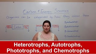 Heterotrophs Autotrophs Phototrophs and Chemotrophs [upl. by Llebpmac376]