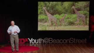 Saving animals saving the future  John Linehan  TEDxYouthBeaconStreet [upl. by Ecilef]