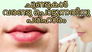 ചുണ്ടുകളുടെ കറുപ്പ് നിറം എങ്ങനെ കുറക്കാം  Lip Lightening Home Remedy Malayalam [upl. by Eittod502]