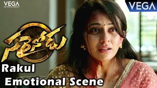 Sarrainodu Movie Comedy Trailer 03  Brahmi Scene  Allu Arjun  Rakul Preet Singh  TFPC [upl. by Sivaj]